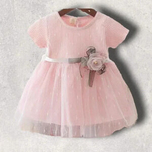 Pink  Tule Baby Girls Dress